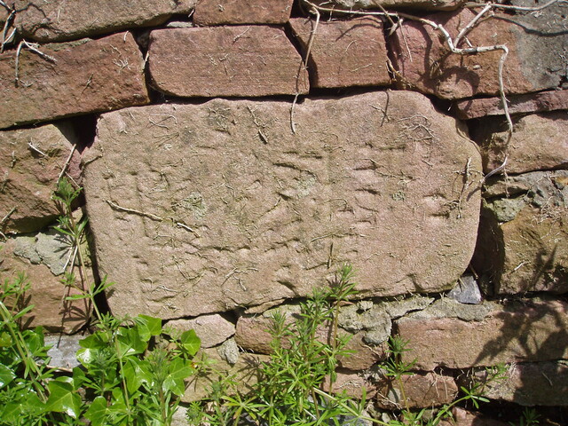 NH54NE0044HAW13.JPG