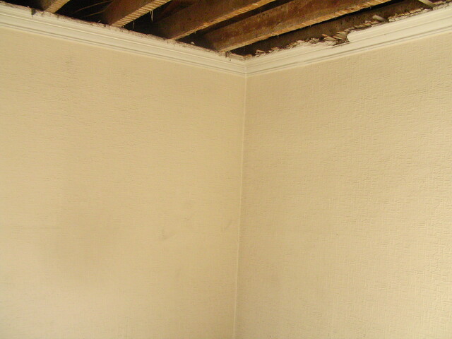 NH55NE0029 - Park Cottage, Greenhill Street, Dingwall, Interior37.JPG