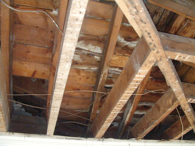 NH55NE0029 - Park Cottage, Greenhill Street, Dingwall, Roof Beams2.JPG