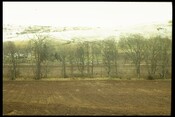 NH55NW0010 - Fort, Knockfarril 8.jpg
