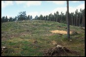 NH65NW0001 - Carn Mor Dun 11.jpg