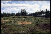 NH65NW0001 - Carn Mor Dun 4.jpg