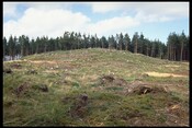 NH65NW0001 - Carn Mor Dun 8.jpg