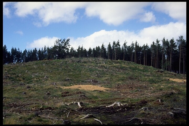 NH65NW0001 - Carn Mor Dun 9.jpg