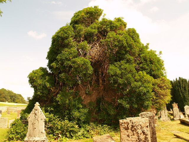 NH65SE0004 - St Mary's Church, Kilmuir AJP_03.JPG