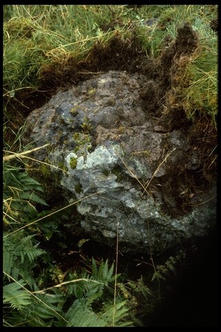 NH68NE0001 - Dun Creich 1.jpg