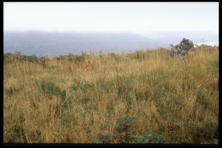 NH68NE0001 - Dun Creich 2.jpg