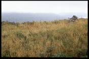 NH68NE0001 - Dun Creich 2.jpg