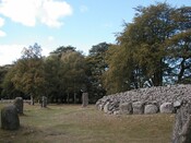 NH74SE0001 - clava 1.JPG