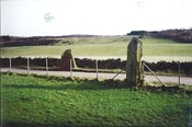 NH74SE0004 - Balnuaran of Clava, Standing stone04.jpg