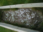 NH76NW0199HAW4.JPG
