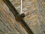 NH78NE0005 - Dornoch Cathedral 6_6_07 - 9.jpg