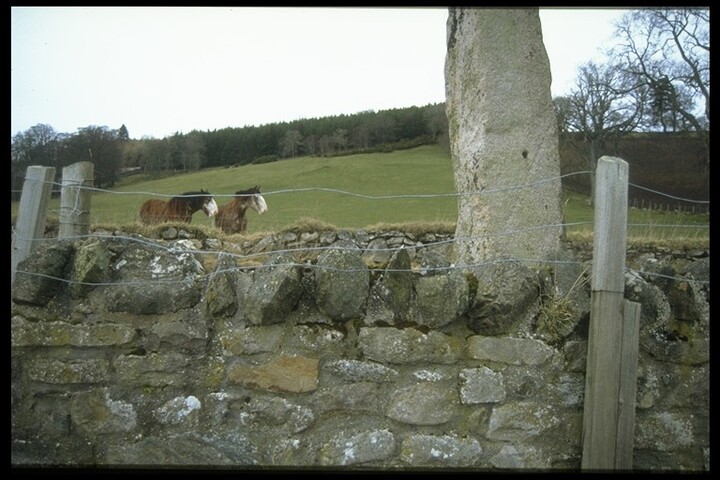 NH78NW0011 - Standing Stone, Clach a' Charra, Ospisdale 1.jpg