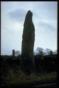 NH78NW0011 - Standing Stone, Clach a' Charra, Ospisdale 2.jpg