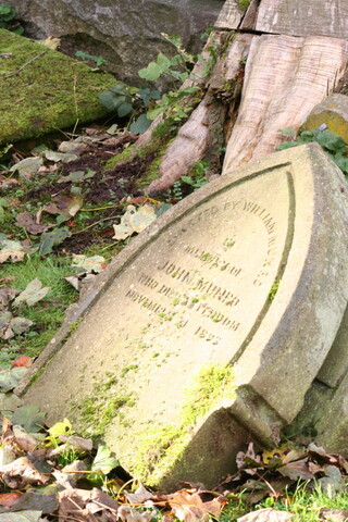 NH78SE0319 - IMG_0657 Alison Ilett.JPG
