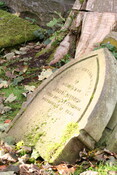 NH78SE0319 - IMG_0657 Alison Ilett.JPG