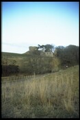 NH79NE0020 - Skelbo Castle 4.jpg