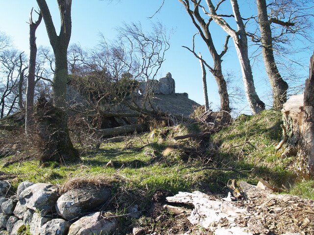 NH79NE0020 - Skelbo Castle 6.JPG