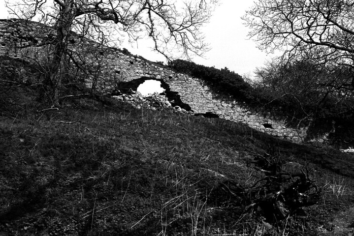NH79NE0020BW06.jpg