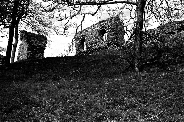 NH79NE0020BW07.jpg