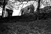 NH79NE0020BW07.jpg