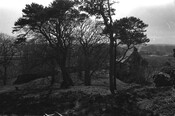 NH79NE0020BW10.jpg