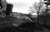 NH79NE0020BW12.jpg