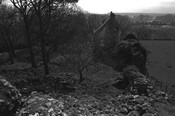 NH79NE0020BW13.jpg