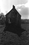 NH79NE0020BW14.jpg