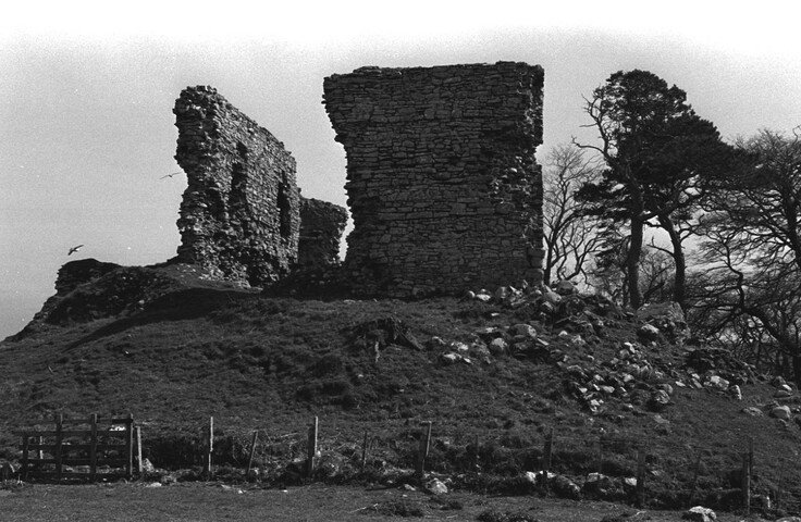 NH79NE0020BW16.jpg