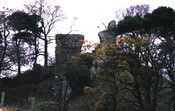 NH79NE0020CP02.jpg