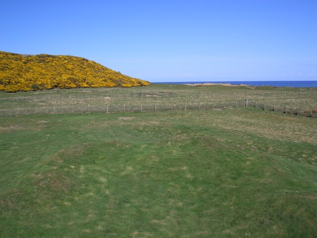 NH87NE0006 - Hilton of Cadboll Chapel AJP_04.JPG