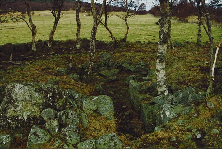 NH91NW0003 - Avielochan, West Cairn.jpg
