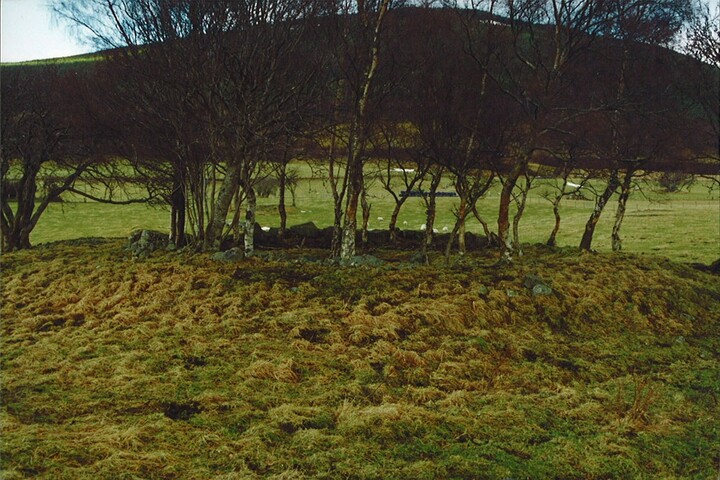 NH91NW0003 - Avielochan, West Cairn02.jpg