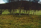 NH91NW0003 - Avielochan, West Cairn02.jpg