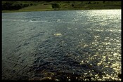 NH93NE0001 - Lochindorb Castle, Bomb squad 2.jpg