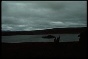 NH93NE0001 - Lochindorb Castle, from hills.jpg