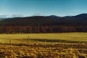 NJ01SW0012 -  Rynettin (general)03.jpg