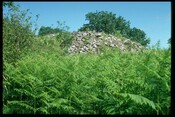 NM54NE0003 - Caisteal nan Con 2.jpg
