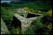 NM76NE0001 - St Finnan's Chapel, Eilean Fhianain 1.jpg