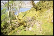 NM76SE0003 - Bridge & track, Loch Sunart,  Achleek.jpg