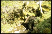 NM76SE0003 - Bridge across Gully, Achleek, Loch Sunar.jpg