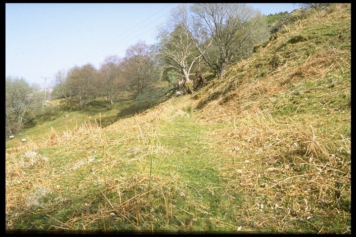 NM76SE0003 - Trackway E. of Achleek, Loch Sunart.jpg