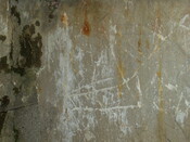 graffitti found under pine lining.JPG