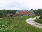 247088 902307 - N & W facing elevations & shed.jpg