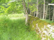 256919 867212 - Boundary wall.jpg