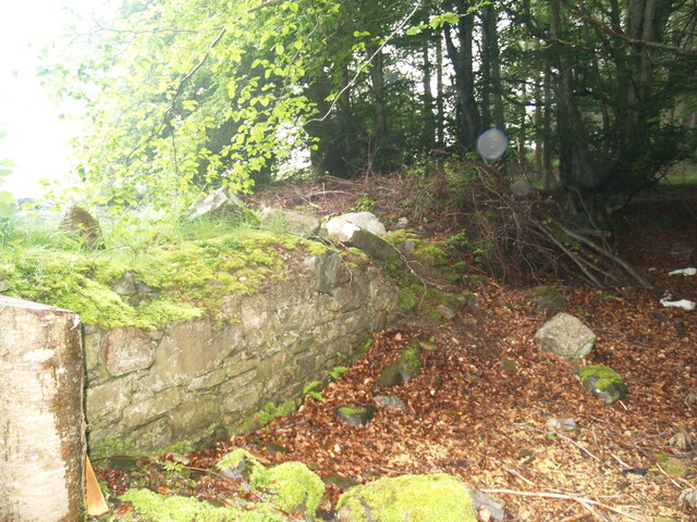 256919 867212 - Platform on W side of school.jpg