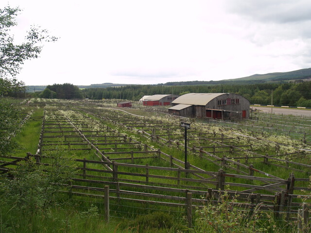 258301 903711 - Auction Mart 02.jpg