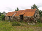 P6133366.jpg