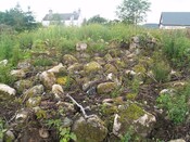 P7263595.JPG